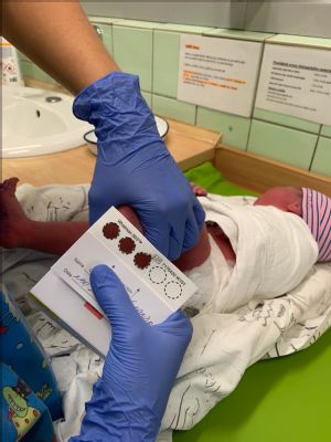 Novorozenecké oddělení Nemocnice AGEL Valašské Meziříčí vstoupilo do screeningového programu na časný záchyt svalové atrofie a těžkých kombinovaných imunodeficiencí. Vyšetření je ale možné i u starších dětí