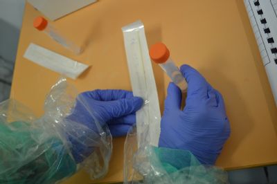 Informace pro veřejnost - PCR a antigenní testování